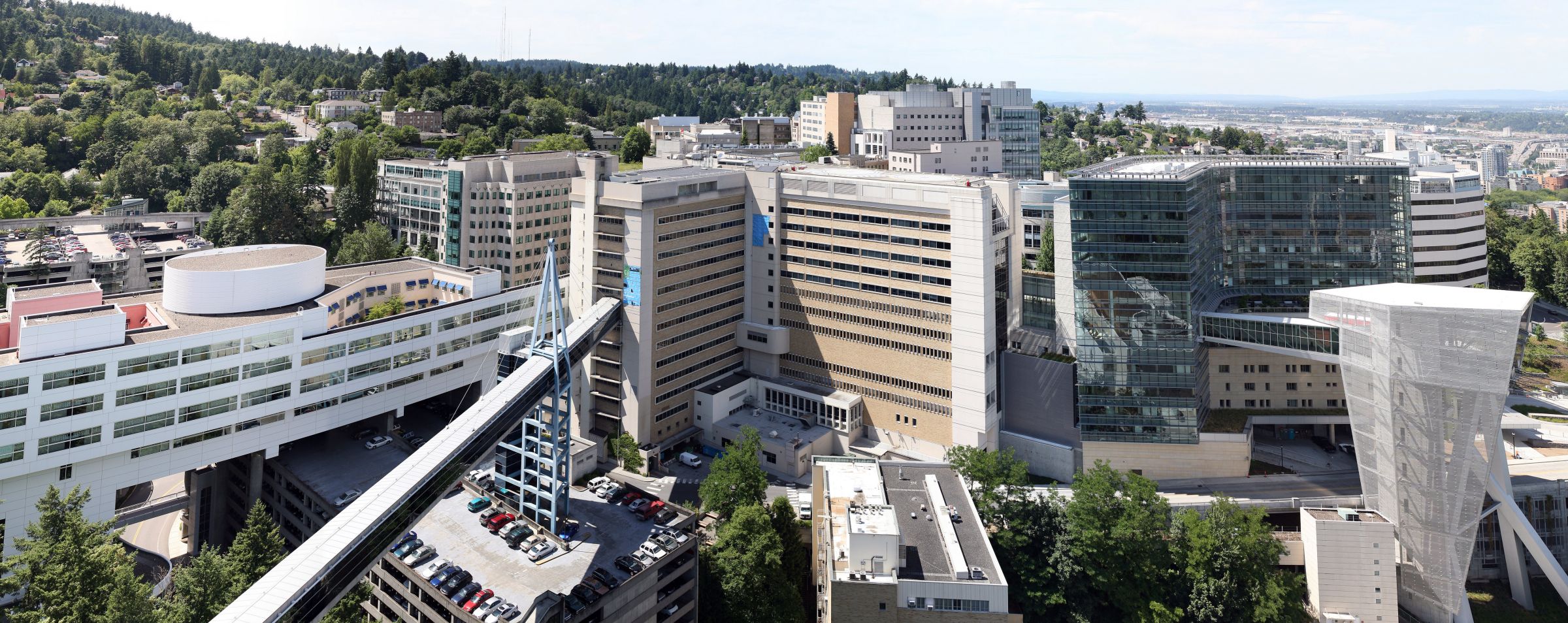 Ohsu Organizational Chart