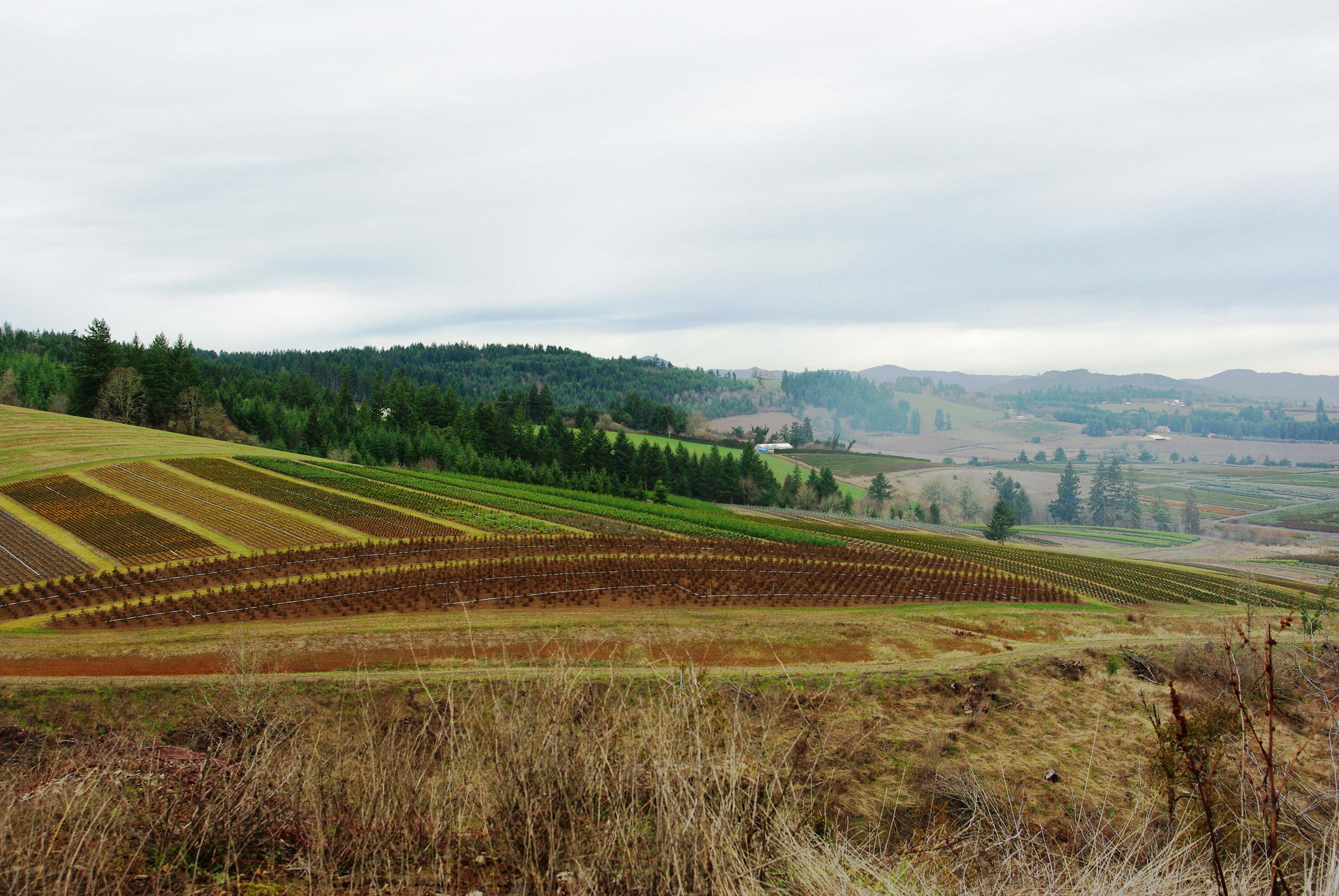 Join us for the 1st Annual Forum on Aging in Rural Oregon
