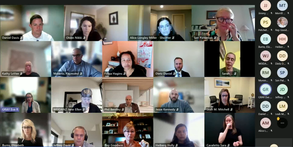 A screenshot of the Joint Task Force On Hospital Discharge Challenges as it considered draft recommendations for its final report during its Sept. 4, 2024 meeting.