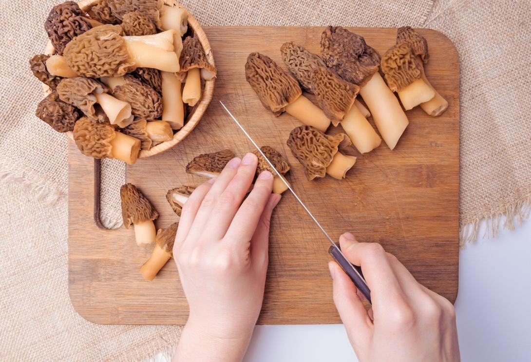 morel mushrooms morel mushrooms being sliced by cook