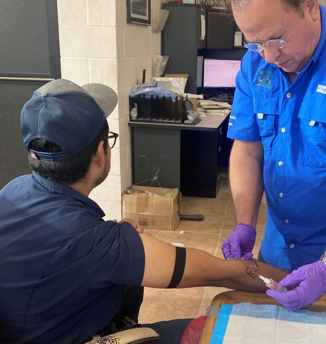 bird flu testing bird flu testing