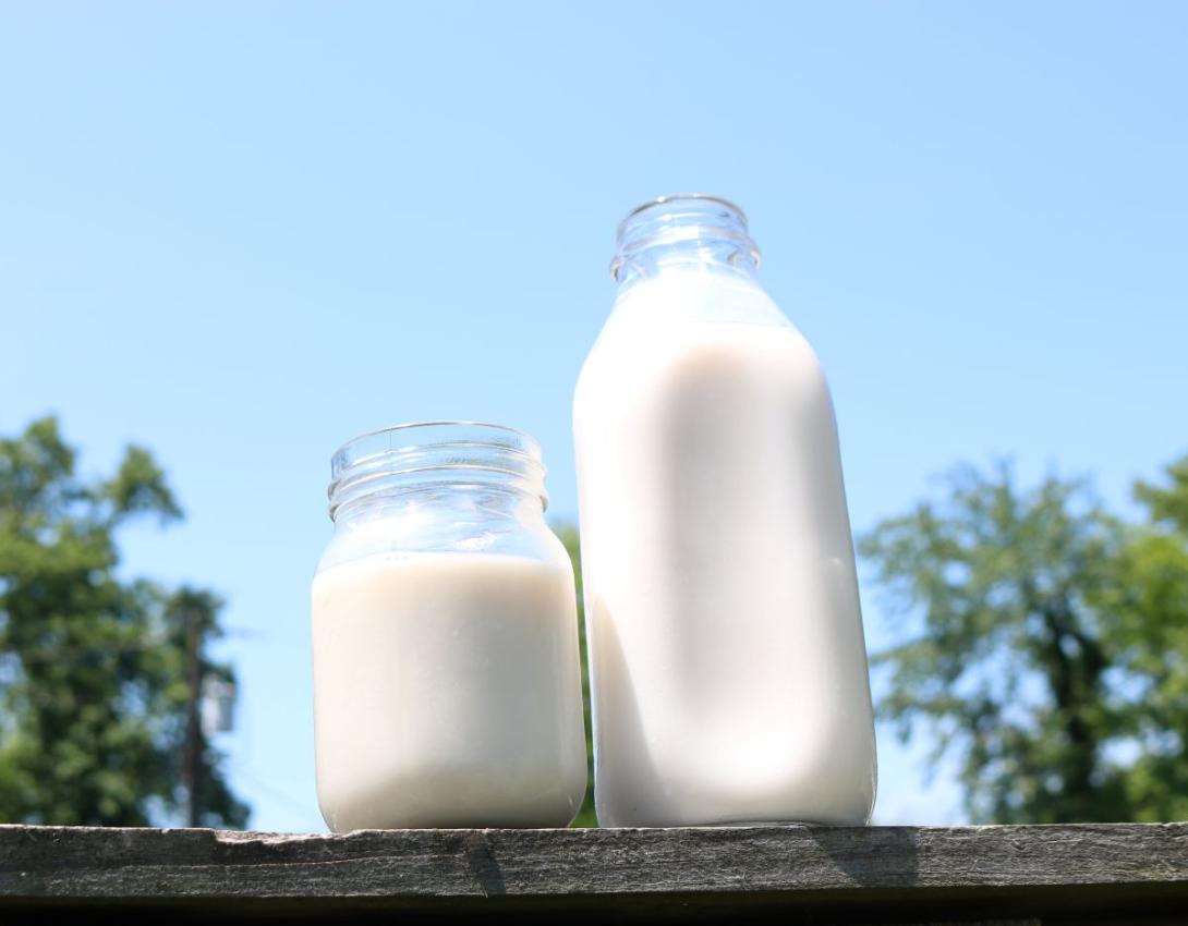 raw milk raw milk