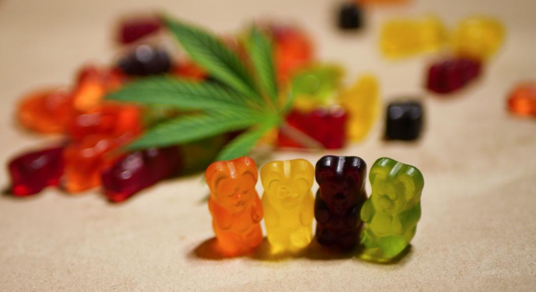 Cannabis gummi bears Cannabis gummi bears