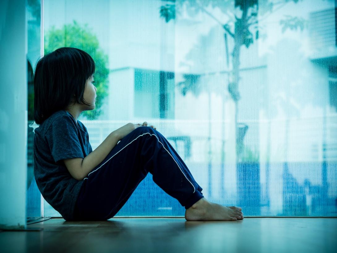 A young child looks out a window