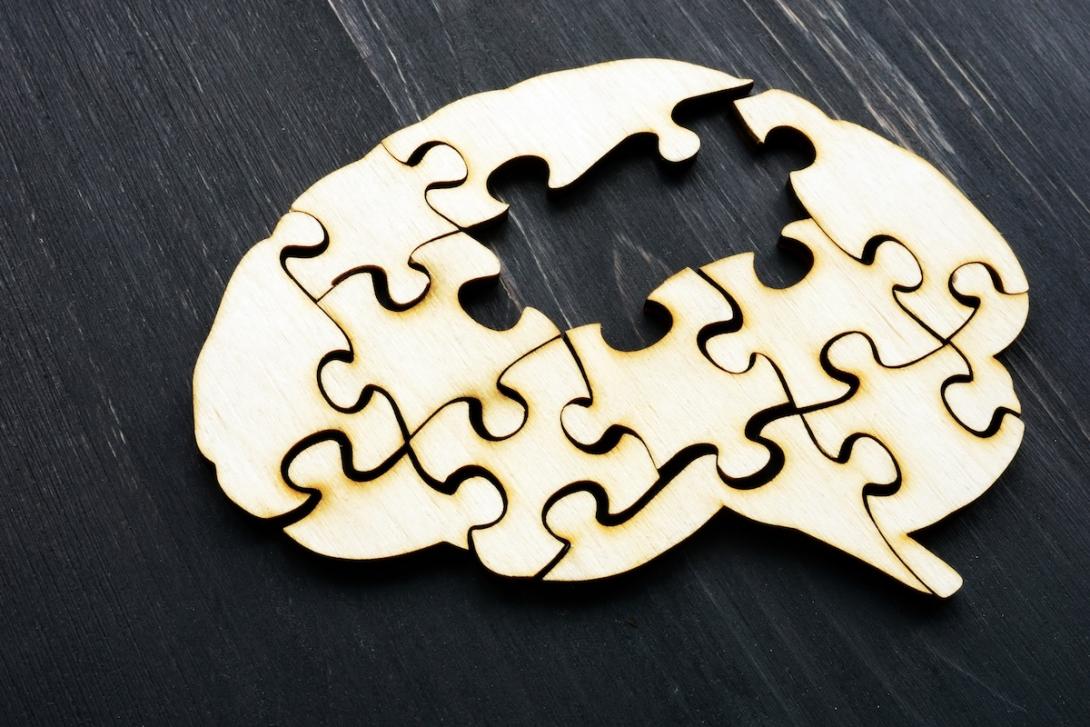 Puzzle piece missing from a brain shaped puzzle