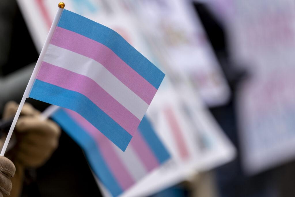 Transgender hand flags