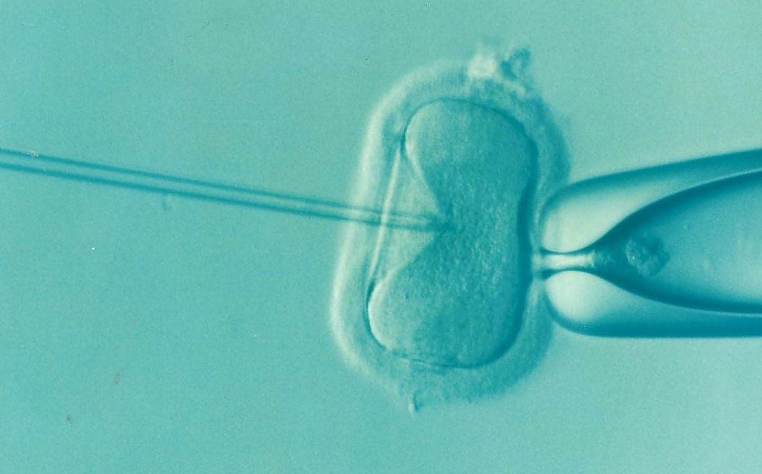 IVF treatment on an embryo