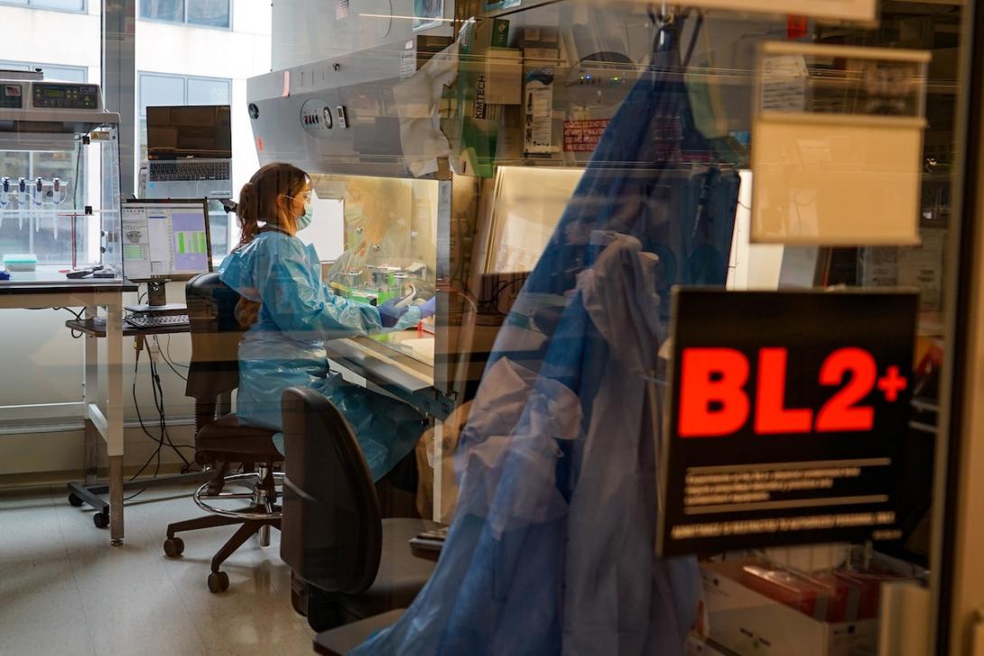 Measles research genomes