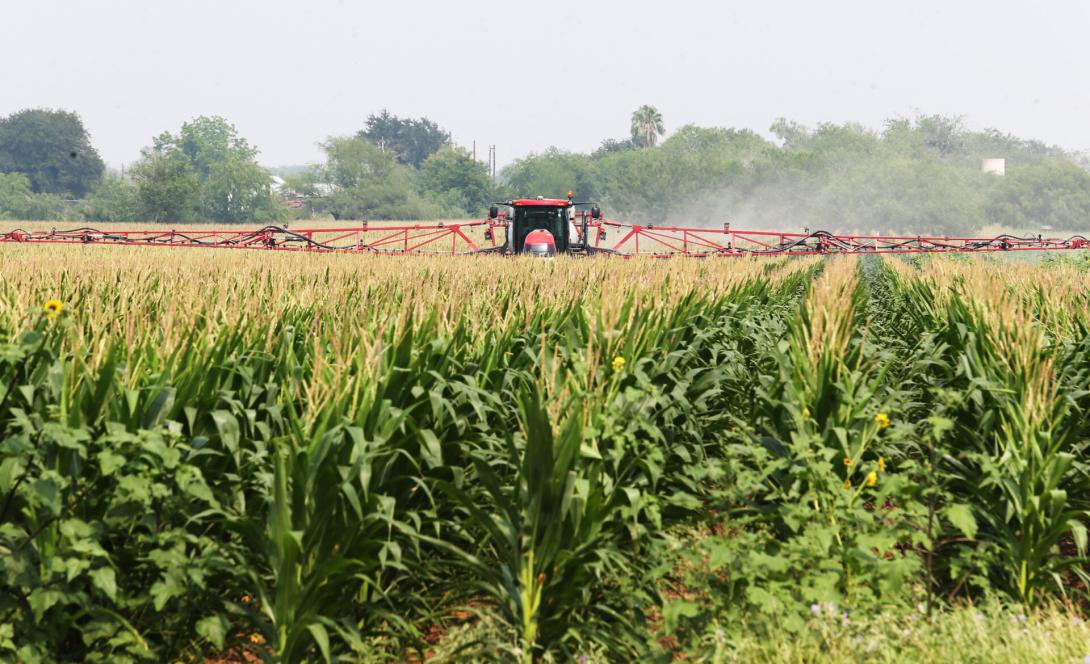 Tractor spraying field
